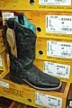 Womens Corral Exotic Boots - STINGRAY A3493