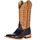 Macie Bean Black Full Quill Ostrich Cowboy Boots M2004